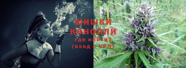 PSILOCYBIN Вязники