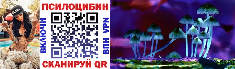 цена   Дорогобуж  Псилоцибиновые грибы мицелий 